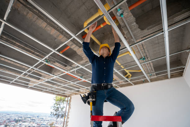 Best Clogged Drain Plumber  in Levelland, TX